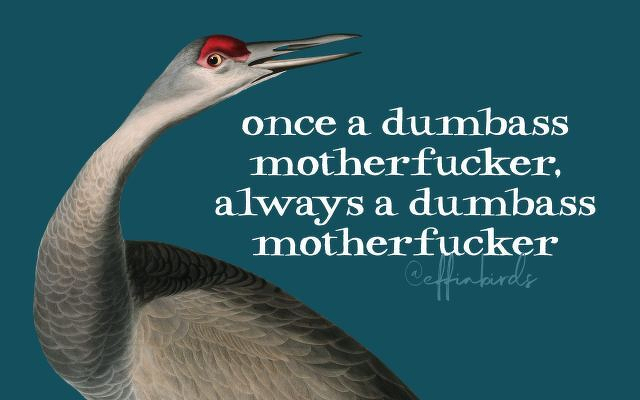 A painting of a bird beside the text "once a dumbass motherfucker, always a dumbass motherfucker"