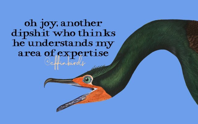 A painting of a bird beside the text "oh joy, another dipshit who thinks he understands my area of expertise"