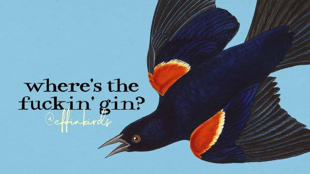 A painting of a bird beside the text "where's the fuckin' gin?"