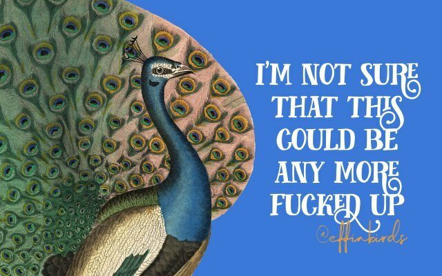 A painting of a bird beside the text "i'm not sure that this could be any more fucked up"