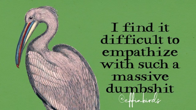 A painting of a bird beside the text "I find it difficult to empathize with such a massive dumbshit"