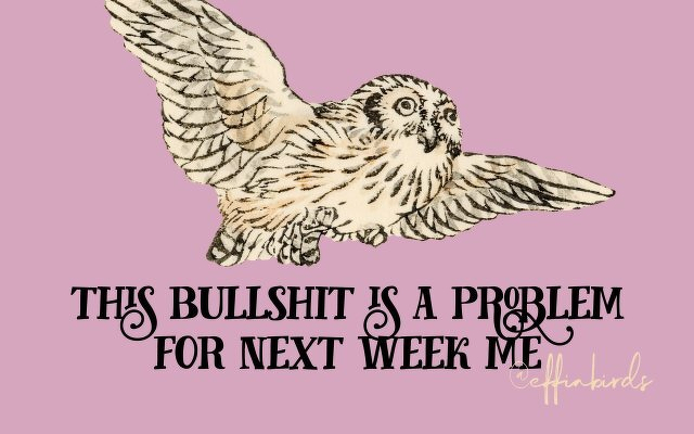 A painting of a bird beside the text "this bullshit is a problem for next week me"