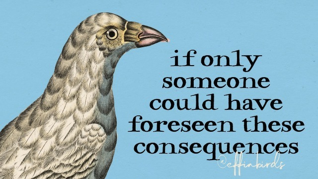 A painting of a bird beside the text "if only someone could have foreseen these consequences"