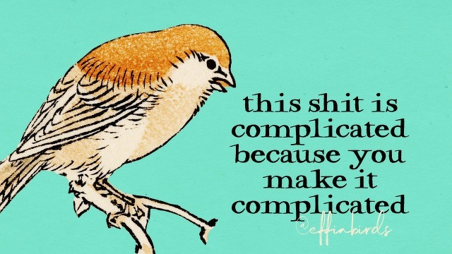 A painting of a bird beside the text "this shit is complicated because you make it complicated"