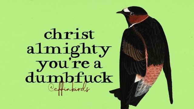 A painting of a bird beside the text "christ almighty you're a dumbfuck"