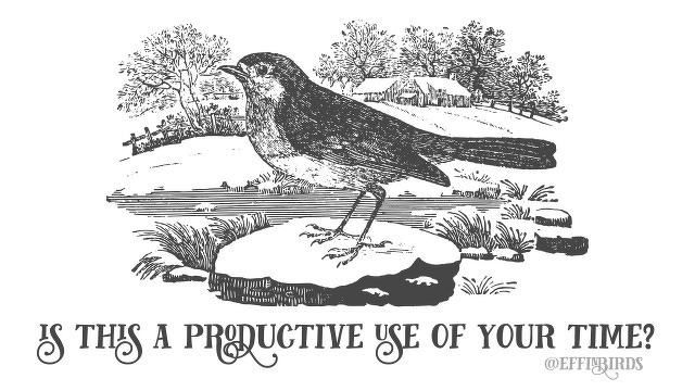 A woodcut of a bird beside the text "is this a productive use of your time?" 