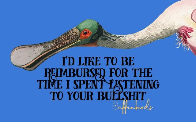 A painting of a bird beside the text "i'd like to be reimbursed for the time i spent listening to your bullshit"