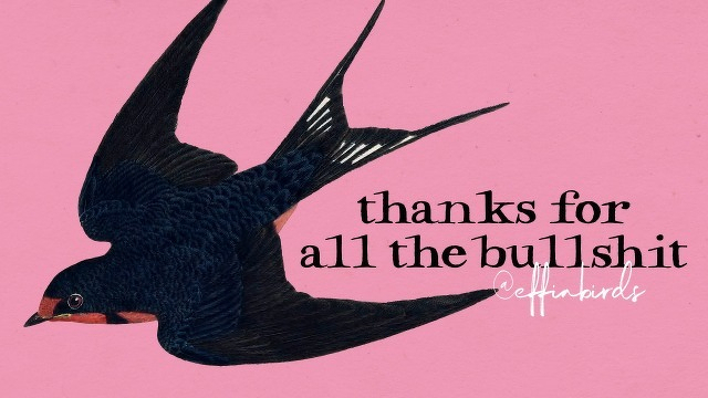 A painting of a bird beside the text "thanks for  all the bullshit"