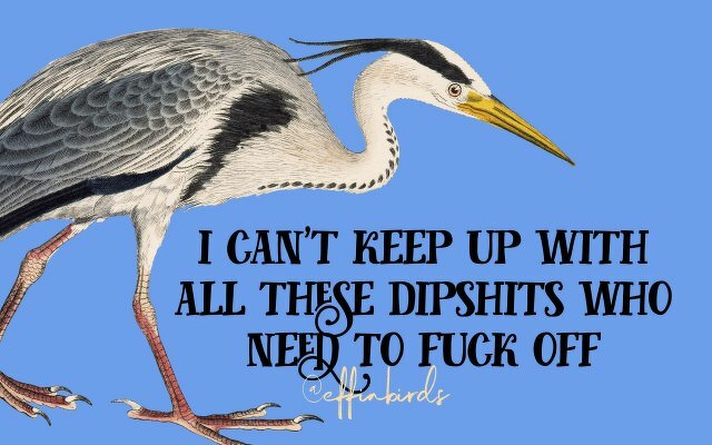 A painting of a bird beside the text "i can't keep up with all these dipshits who need to fuck off"