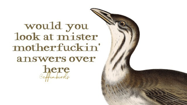 A painting of a bird beside the text "would you look at mister motherfuckin answers over here"
