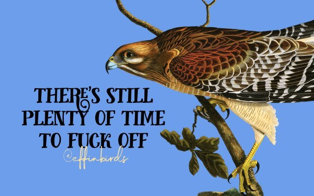 A painting of a bird beside the text "there's still plenty of time to fuck off"