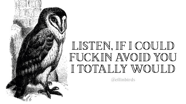 A woodcut of a bird beside the text "LISTEN, IF I COULD FUCKIN AVOID YOU I TOTALLY WOULD"