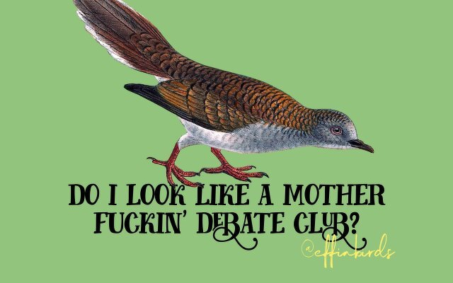 A painting of a bird beside the text "do i look like a mother fuckin' debate club?"