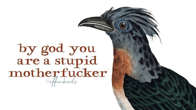 A painting of a bird beside the text "by god you are a stupid motherfucker"