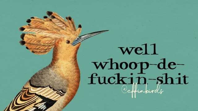 A painting of a bird beside the text "well whoop-de-fuckin-shit"