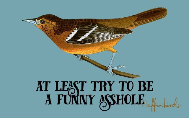 A painting of a bird beside the text "at least try to be a funny asshole"
