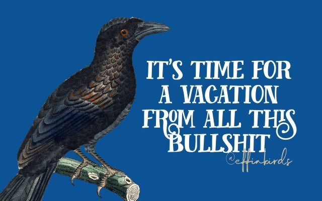 A painting of a bird beside the text "it's time for a vacation from all this bullshit"