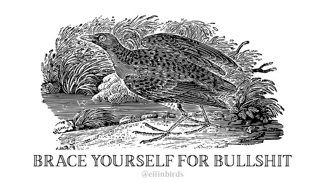 A woodcut of a bird beside the text "brace yourself for bullshit"