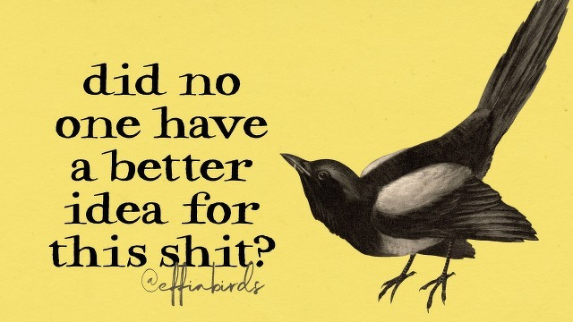 A painting of a bird beside the text "did no one have a better idea for this shit?"