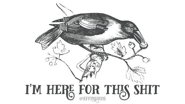 A woodcut of a bird beside the text " I'm here for this shit"