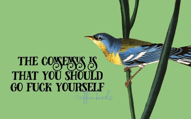 A painting of a bird beside the text "the consensus is that you should go fuck yourself"