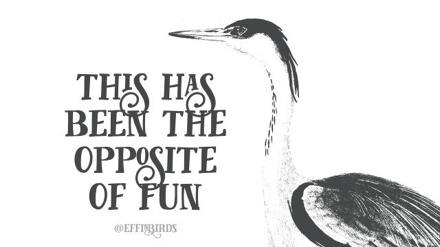A woodcut of a bird beside the text "this has been the opposite of fun"