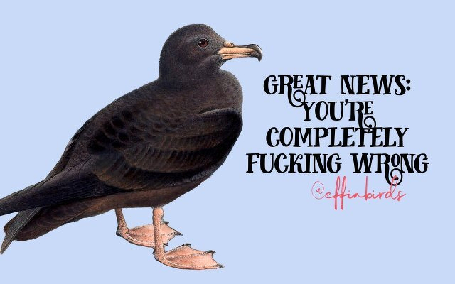 A painting of a bird beside the text "great news- you're completely fucking wrong"