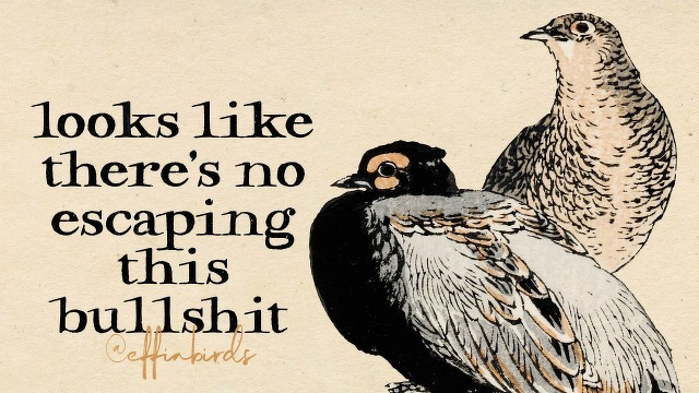 A painting of a bird beside the text "looks like there's no escaping this bullshit"