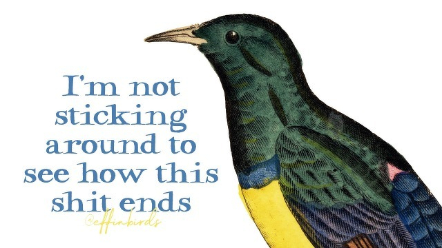 A painting of a bird beside the text "I'm not sticking around to see how this shit ends"