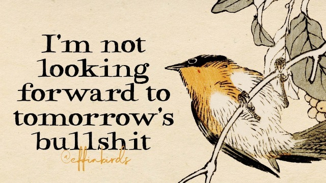 A painting of a bird beside the text "I'm not looking forward to tomorrow's bullshit"