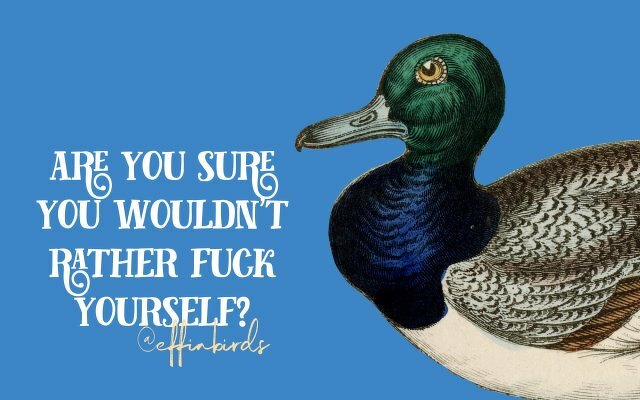 A painting of a bird beside the text "are you sure you wouldn't rather fuck yourself?"
