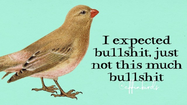 A painting of a bird beside the text "I expected bullshit, just not this much bullshit" 