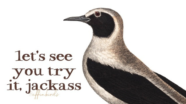 A painting of a bird beside the text "let's see you try it, jackass"