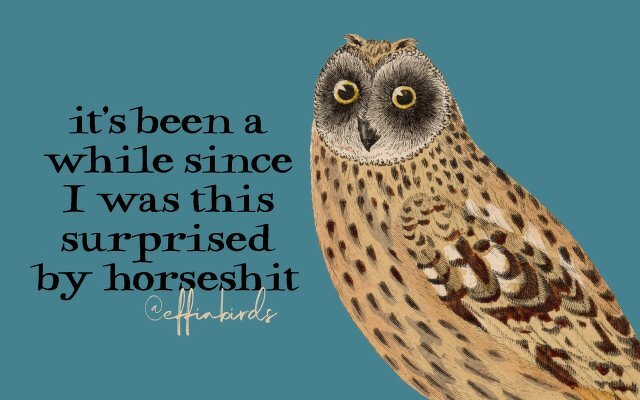 A painting of a bird beside the text "it's been a while since I was this surprised by horseshit"