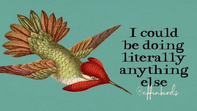 A painting of a bird beside the text "I could be doing literally anything else"