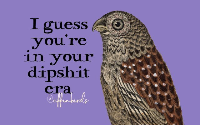 A painting of a bird beside the text "I guess you're in your dipshit era"