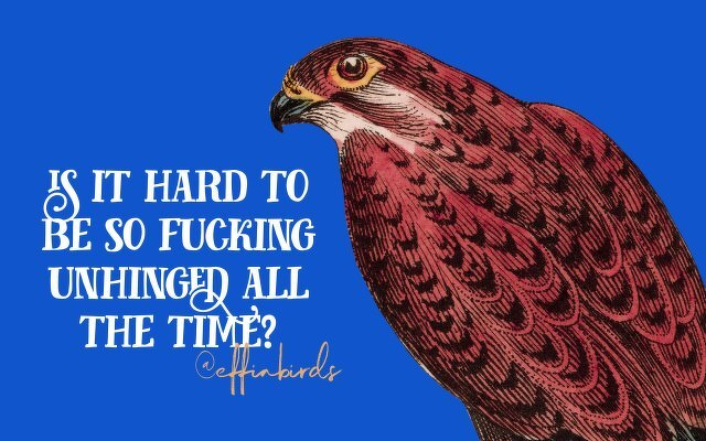 A painting of a bird beside the text "is it hard to be so fucking unhinged all the time"