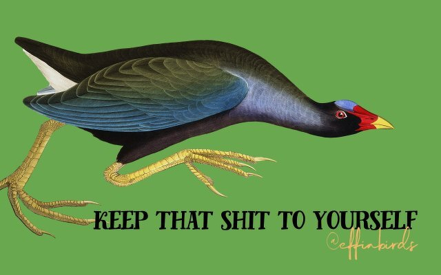 A painting of a bird beside the text "keep that shit to yourself"
