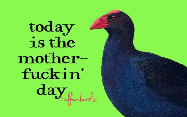 A painting of a bird beside the text "today is the mother-fuckin day"