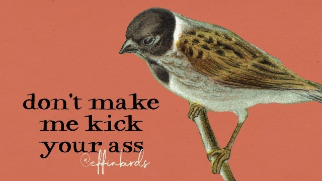 A painting of a bird beside the text "don't make me kick your ass"