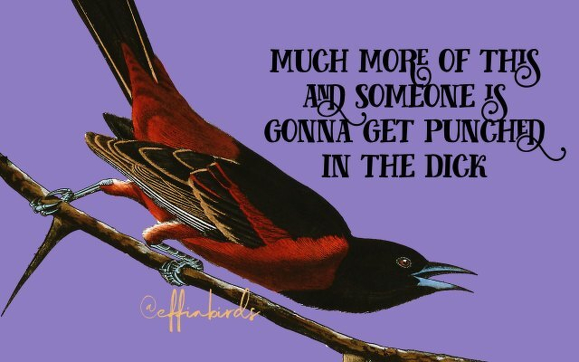 A painting of a bird beside the text "much more of this and someone is gonna get punched in the dick"