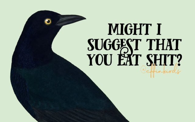A painting of a bird beside the text "might i suggest that you eat shit"