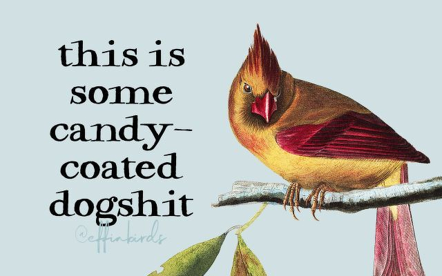 A painting of a bird beside the text "this is some candy-coated dogshit"