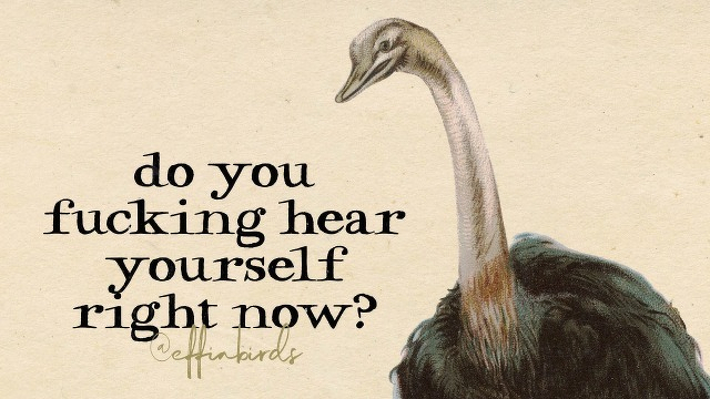 A painting of a bird beside the text "do you fucking hear yourself right now?"