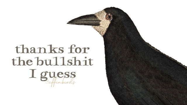 A painting of a bird beside the text "thanks for the bullshit I guess"