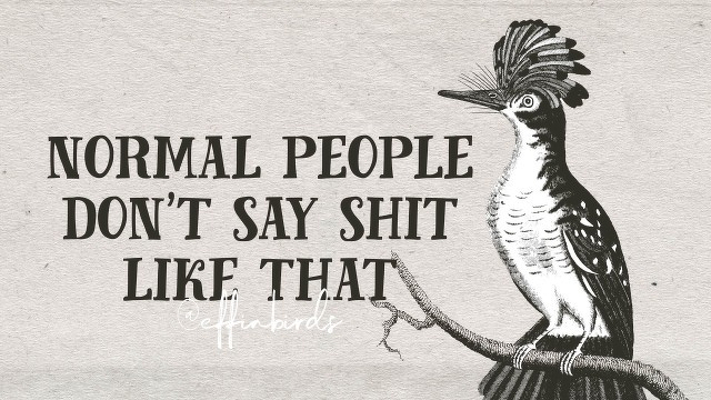 A woodcut of a bird beside the text "normal people don't say shit like that"