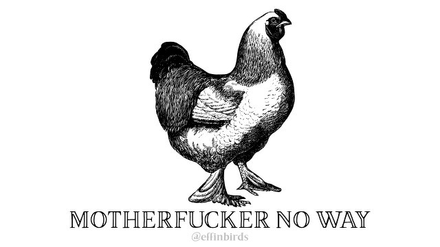 A woodcut of a bird beside the text "MOTHERFUCKER NO WAY"