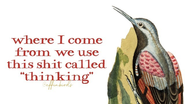 A painting of a bird beside the text "where I come from we use this shit called “thinking”"