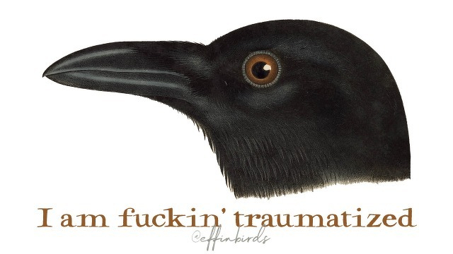 A painting of a bird beside the text "I am fuckin' traumatized"