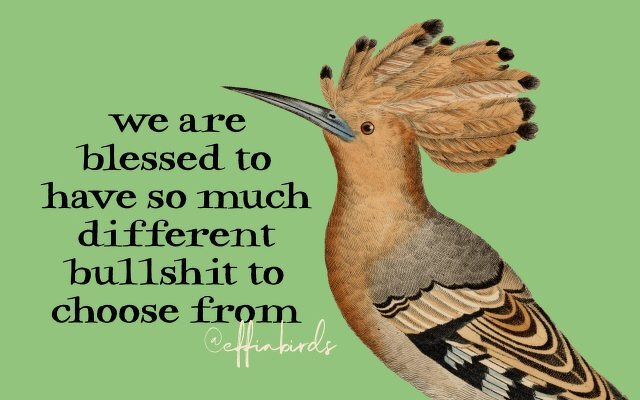 A painting of a bird beside the text "we are blessed to have so much different bullshit to choose from"